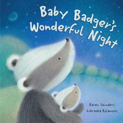 Baby Badger's Wonderful Night Book