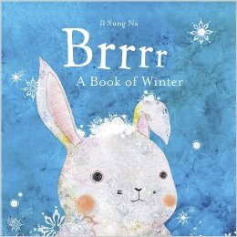 Brrrr A Book Of Winter - II Sung Na