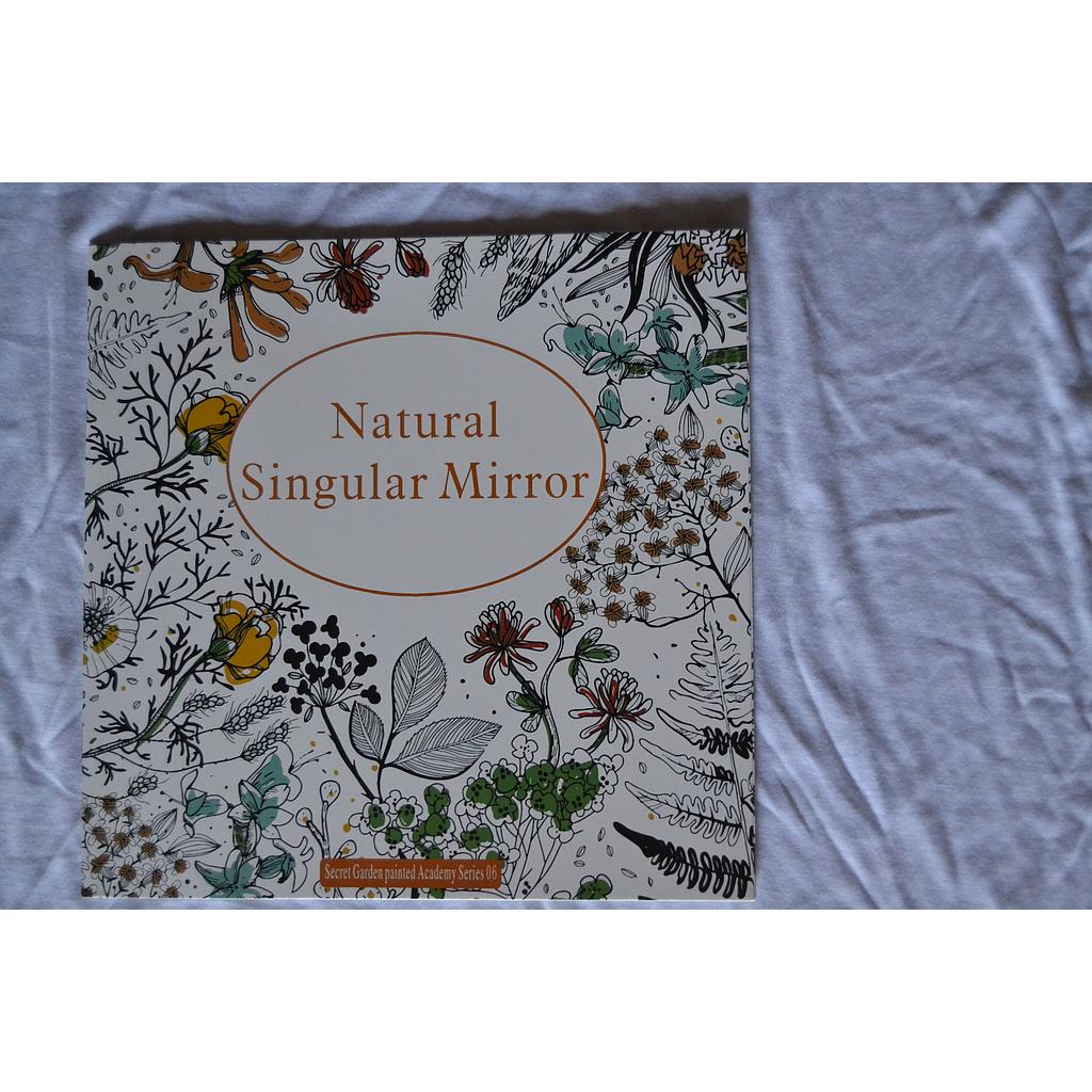 Natural Singular Mirror
